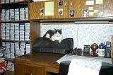 20031230_Kitty Kat_044